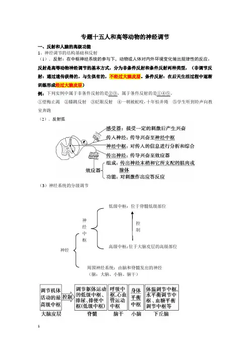 专题十五人和高等动物的神经调节