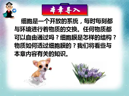 高中生物必修一第4章  细胞的物质输入和输出本章导入教学课件