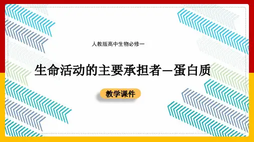 【经典】高中生物人教版必修一《2.2生命活动的主要承担者蛋白质》课件