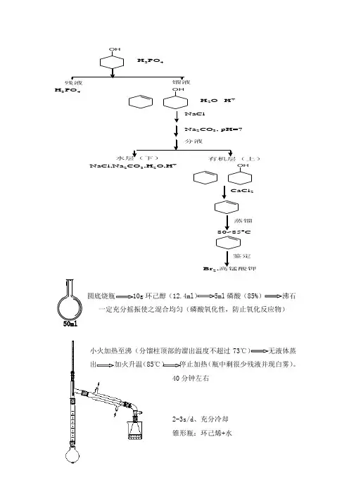 环己烯的制备(实验详细流程图)
