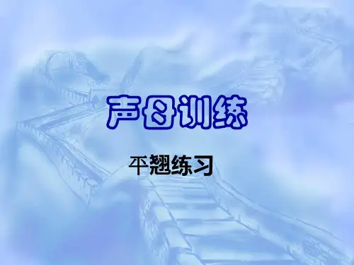 声母训练(平翘舌)