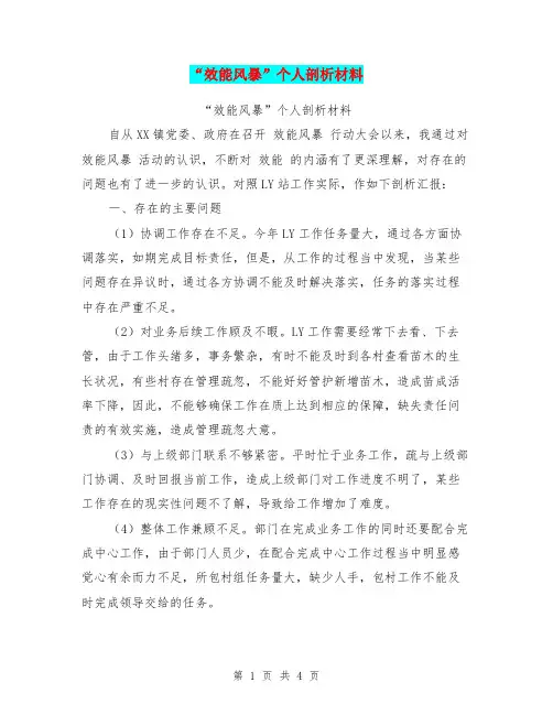 “效能风暴”个人剖析材料