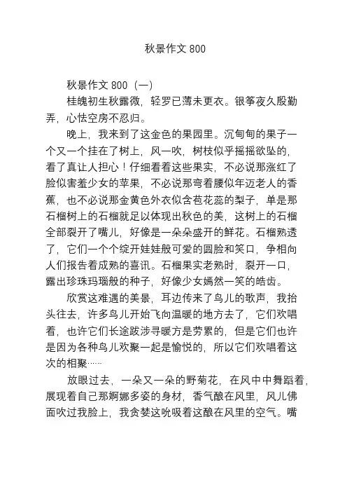 秋景作文800