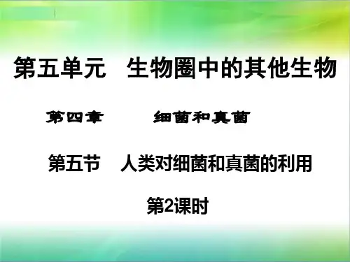 八年级生物上册ppt〔人教版〕16