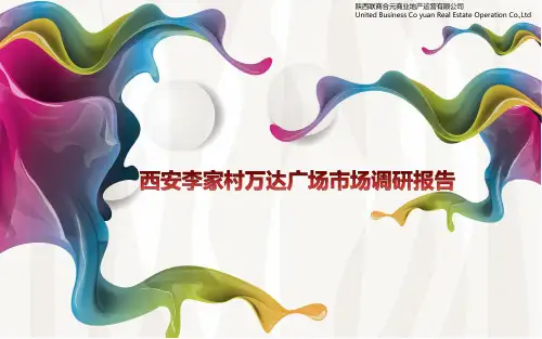 李家村万达广场市场调研报告