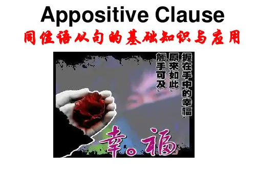语法：同位语从句(公开课)