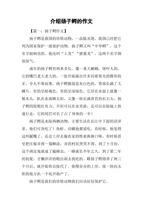 介绍扬子鳄的作文