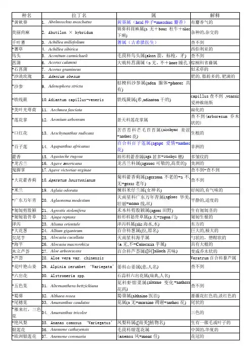 拉丁名