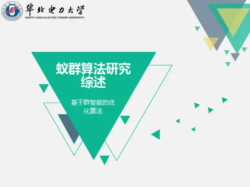 蚁群算法研究综述(附视频)