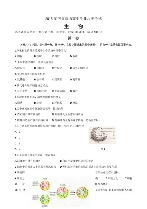 湖南省普通高中学业水平考试生物试卷