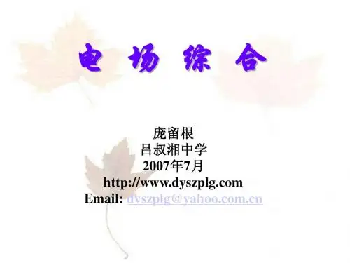 C093.电场综合