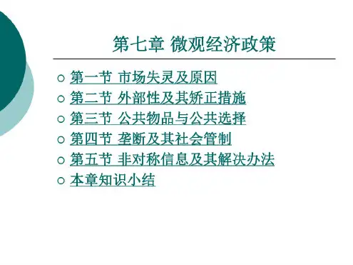 微观经济政策