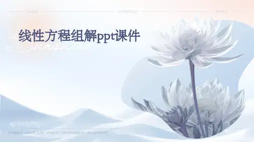 线性方程组解PPT课件