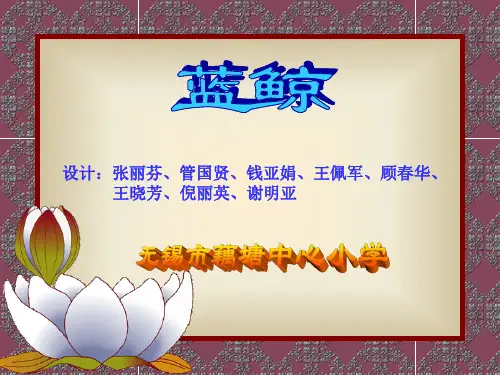 蓝鲸PPT课件