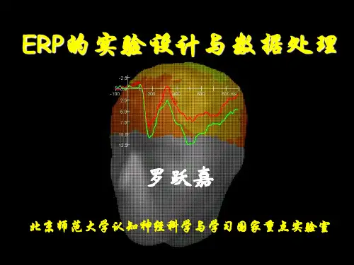 ERP实验设计与数据分析