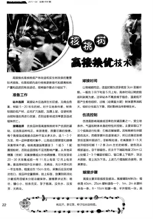 核桃树高接换优技术