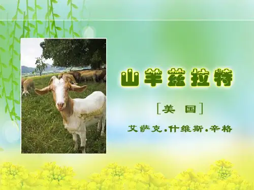 《山羊兹拉特》
