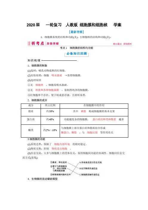 2020年高考   一轮复习  人教版 细胞膜和细胞核   学案.doc