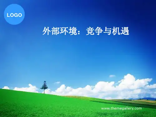 企业宏观环境分析