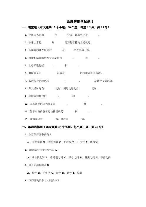 系统解剖学试题