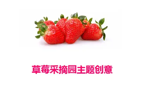草莓采摘园项目规划课件