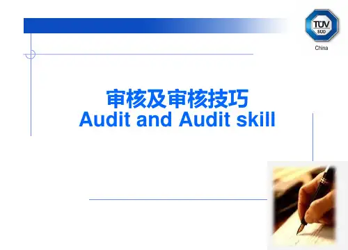 audit skill_1