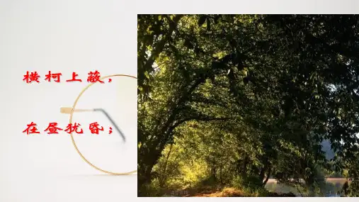 八年级语文上册 与朱元思书26-30