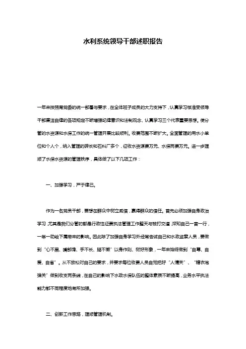 水利系统领导干部述职报告