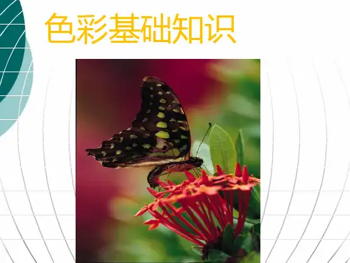 色彩基础知识总结PPT课件