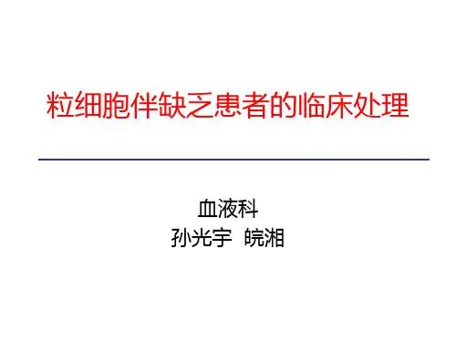 粒缺伴感染总结