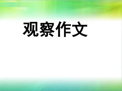 观察作文作文指导 PPT课件(共27张)