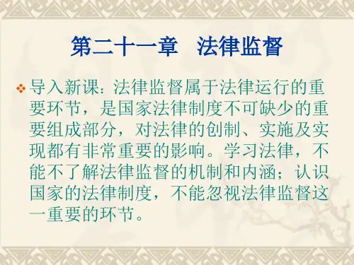 第21章 法律监督