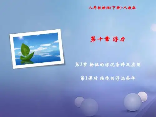 八年级物理下册随堂特训第10章浮力第3节第1课时物体的浮沉条件课件