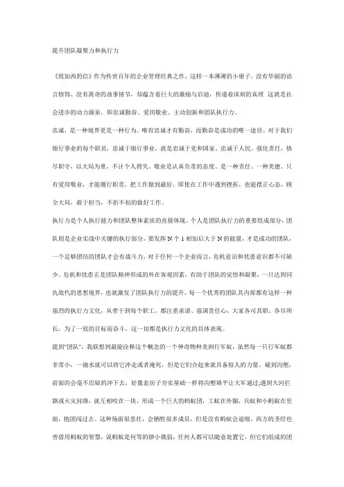 提升团队凝聚力和执行力