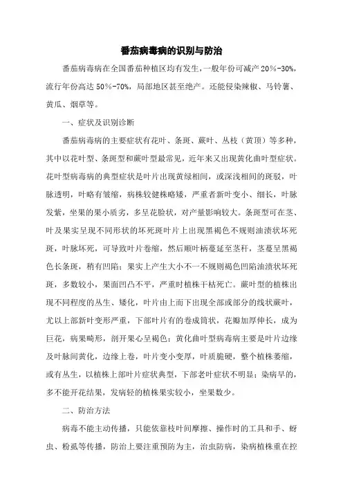 番茄病毒病的识别与防治