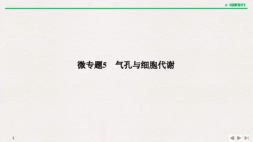 高中生物气孔与细胞代谢