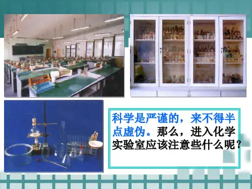走进化学实验室共张PPT课件