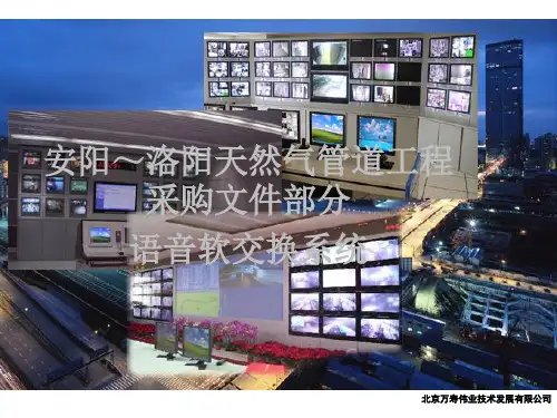语音软交换系统