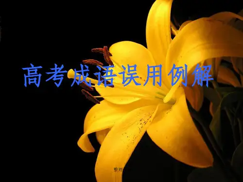 正确使用成语课件
