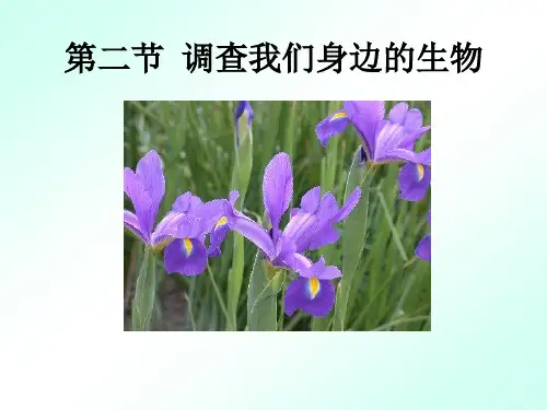112调查我们身边的生物.pptx