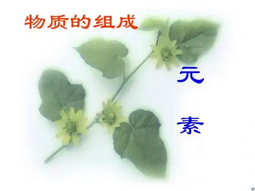 化学：4.2《元素》课件(3)(人教版九年级上)