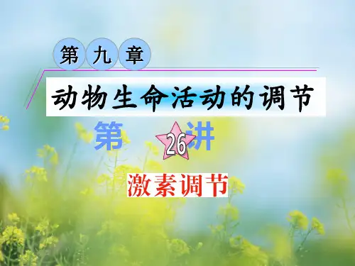 激素调节PPT教学课件