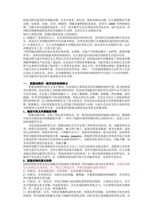 腔肠动物