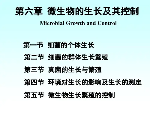 微生物学第六章
