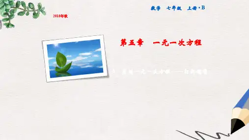 七年级数学上册 第5章 一元一次方程 4 应用一元一次方程—打折销售课件 (新版)北师大版