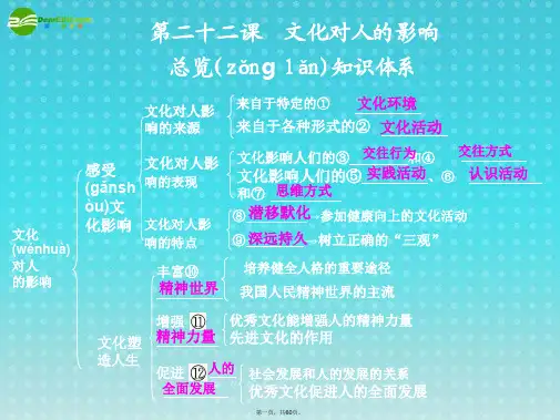 高考政治一轮复习 文化对人的影响课件