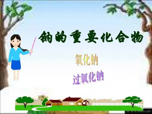 氧化钠与过氧化钠