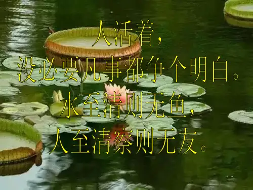 心中有家,人生不会迷路