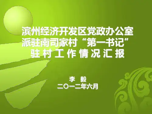 第一书记汇报PPT