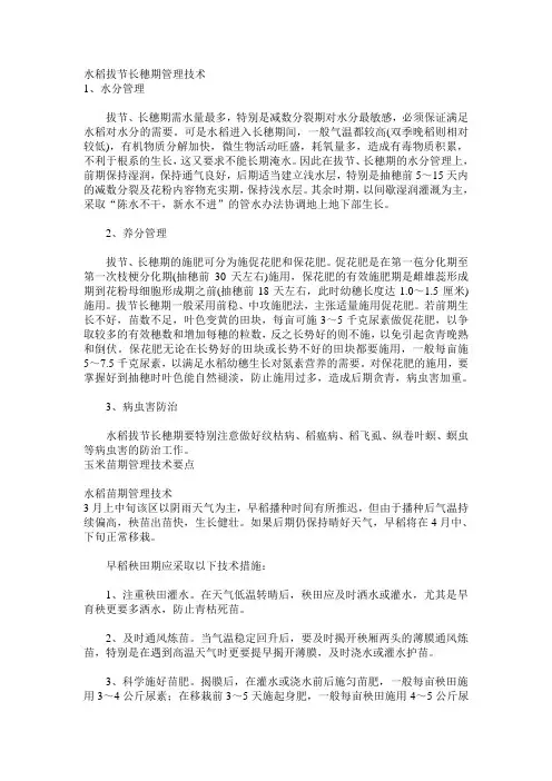 水稻管理技术